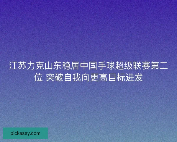 江苏力克山东稳居中国手球超级联赛第二位 突破自我向更高目标进发